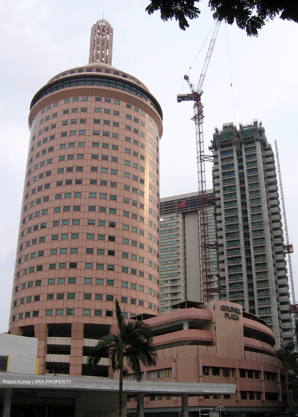 Goldhill Plaza (D11), Office #552971331